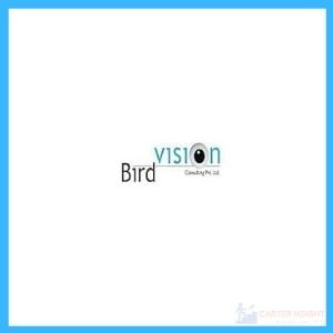 Software Developer | Birdvision Consulting | Freshers | Career Opportunities | Job